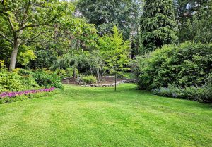 Optimiser l'expérience du jardin à Civrac-en-Medoc